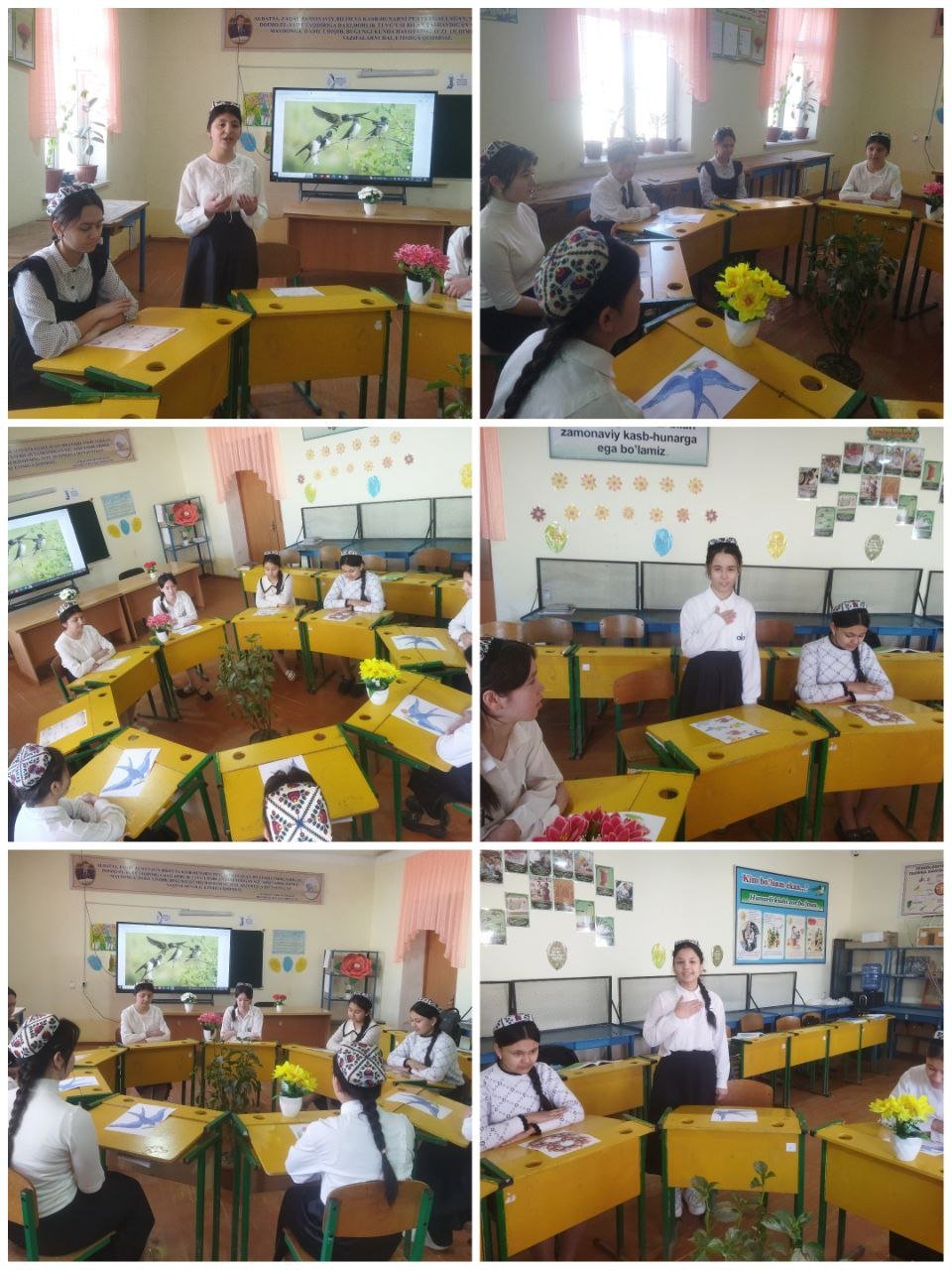 5 ta muhim tashabbus